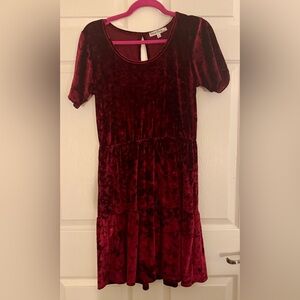 Velvet Torch Burgundy Mini Dress